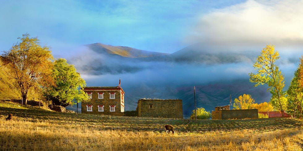 1523848495508603.jpg 新都桥秋色.jpg